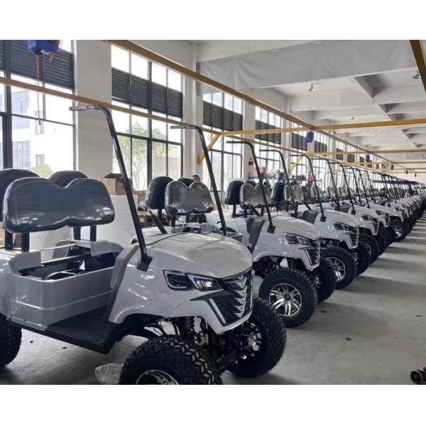 EPS Power Steering Electric Golf Buggy IP65 Waterproof Long Battery Life