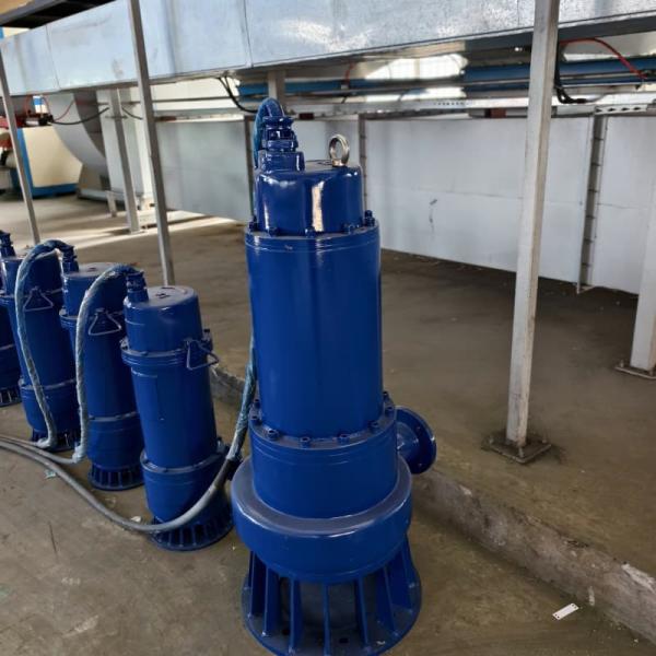 380V Sewage Agricultural Submersible Irrigation Pump 90kw 220m³/H Flow 70m WQ Series