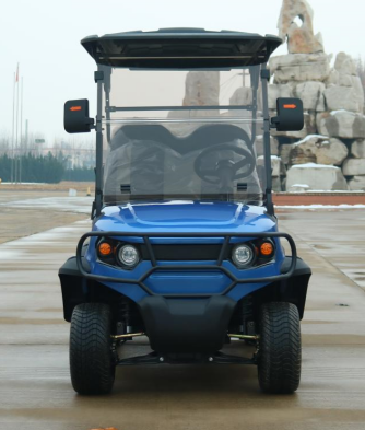 Electric Powered 2 Seater Club Car Golf Carts Buggy With 14 inch Off Road Tires