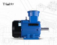 Motor Assíncrono para Bomba de Água à Prova de Chamas de 165kW GB30254