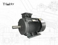 GB30254 High Voltage Flameproof Electric Motor Pump IP65 165kW