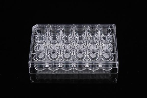 Cell Insert Multiple Well Plate 24mm PCR Laboratory