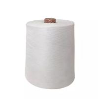 bactéries blanches crues tournées de brin des fils de polyesters 20s/3 203 20s/3 20 anti