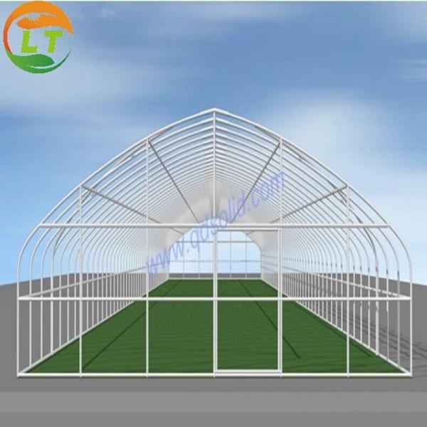 Insulation Agricultural Plastic Film Greenhouse for Single-Span at in 6m 8m 10m Width