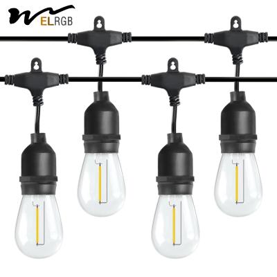 2700K-6500K 1w Led Filament Bulb LED Decorative Lights For Garden