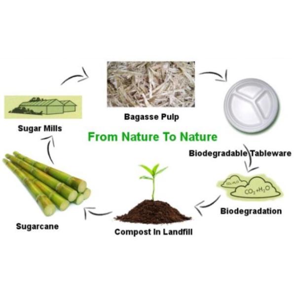 16oz Bagasse Refrigerable Paper Plate Bowls