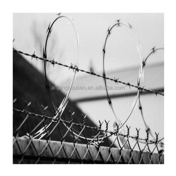 Galvanized Barbed Wire Farm Fence and Razor Barb Wire Per Roll for Secure Protection