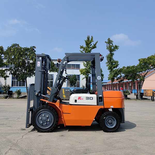 Duplex Mast Gasoline Powered Forklift 3000kgs Warehouse Equipment Forklift