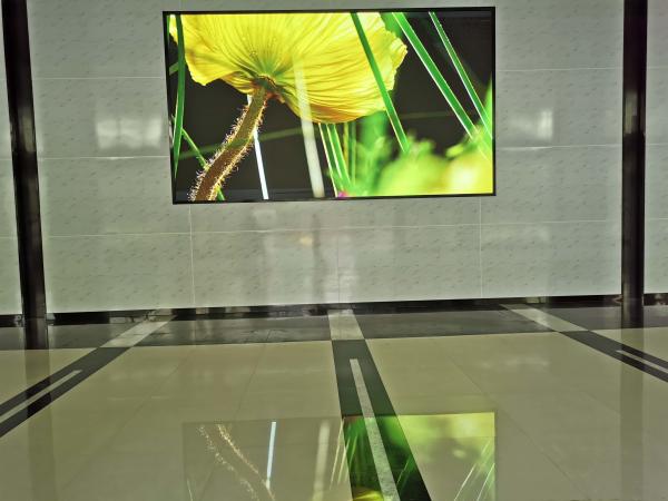Tela de exposição conduzida interna video 500cd/Sqm da parede 320*160mm do diodo emissor de luz de P1.86 HD
