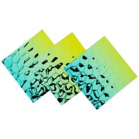 L'eau de 304 gradients ridée emboutissant la feuille pour la décoration de mur