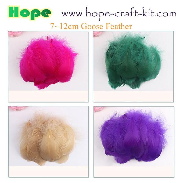 Peacock feathers, goose feathers, turkey chicken feathers for hobbies and children kids STEM hand-crafted DIY material