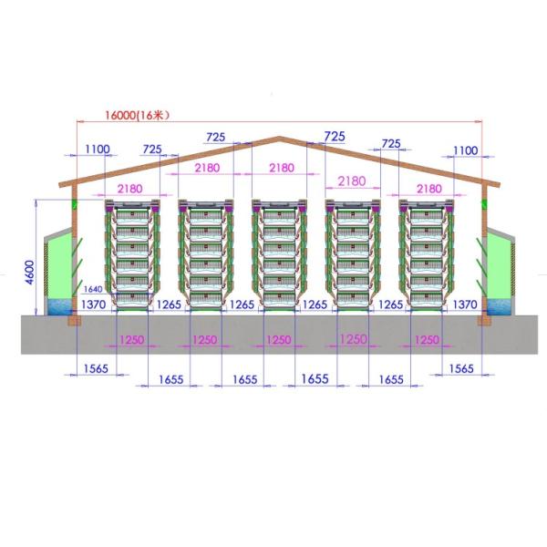 Poultry Farming Battery Chicken Cages System H Type Automatic Laying Hens Egg 8Tiers