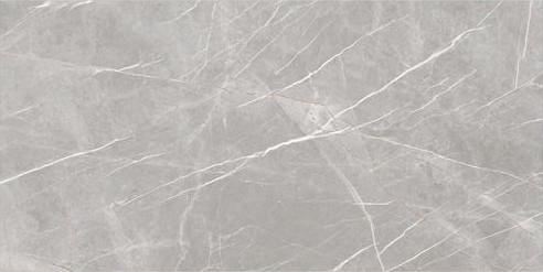 Eco - Friendly Decorative Ceramic Tile Waterproof Anti - Mold 900 X 1800 Mm