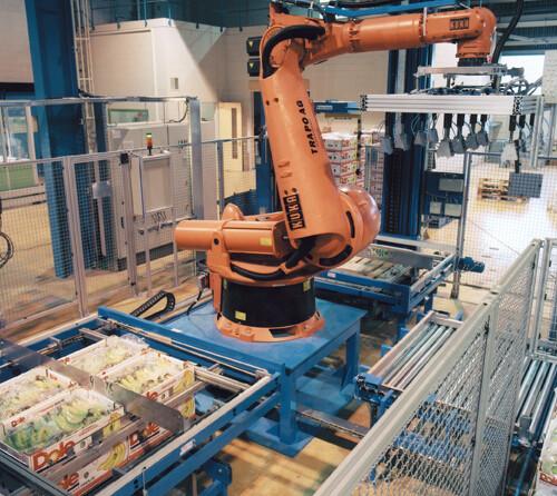 Rotary Scraping Robot Palletizing Equipment For Cartons Cans Containers