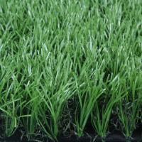 Top Notch 13100 Dtex Paisagem Astroturf cor e tamanho personalizáveis para esportes e jardins decorativos