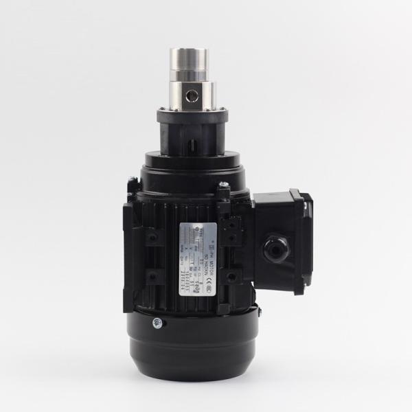 FLOWDRIFT Magnetic Drive Gear Pump KGP-06K 220V 380VAC Asynchronous Motor Stainless Steel 316L Body PEEK Gears PTFE Sealing Food Grade for Beverage Filling Machine Chemical Metering Packing Machine