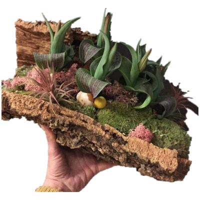 Cor natural grande Cork Planters Eco Friendly Lightweight áspero de BSCI