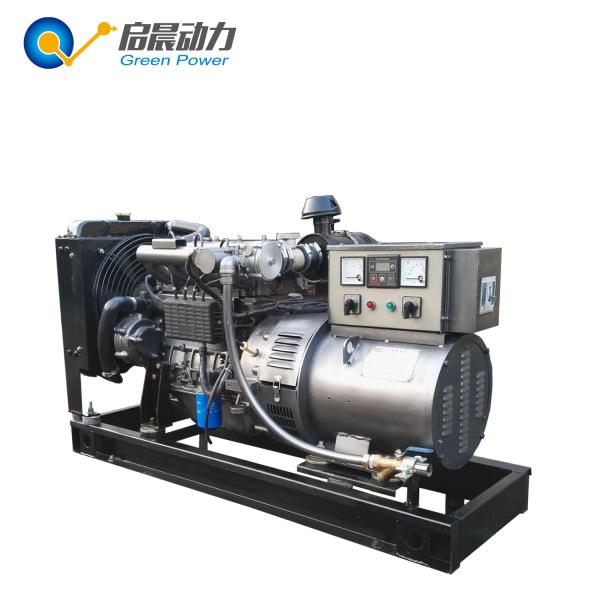 250KW High Performance Biogas Generator Open / Soundproof Type