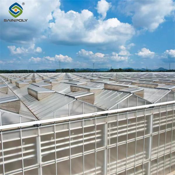 Serre à polycarbonate agricole à longue portée de type Venlo