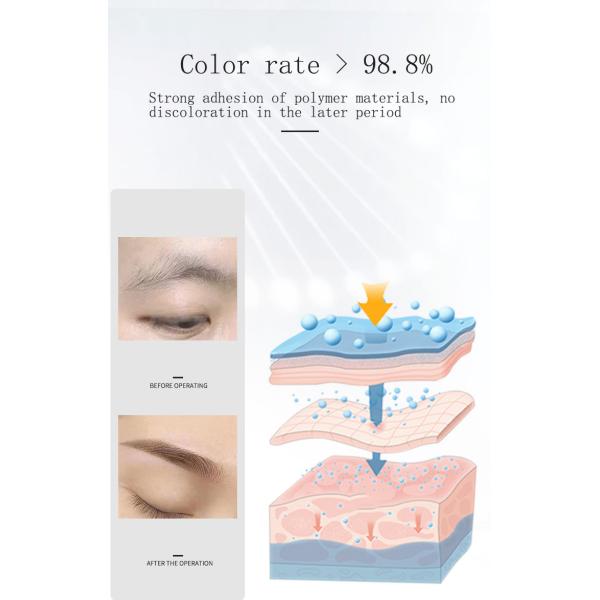 Чернил пигмента татуировки бутылки ОЭМ макияж больших постоянный для губы Эйелинес