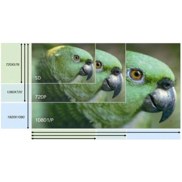12X optical zoom 60fps 1080P full HD telemedecine camera latest hd video camera