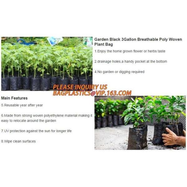 Smart Grow Bags For Potato/Plant Container/Aeration Fabric Pots With Handles Fabric Plants Pots with Handles, Indoor