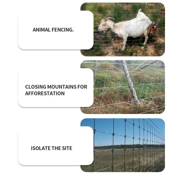 Производители Anping напрямую продают оцинкованные ржавчины прочные проволочные сетки размножения ограждения ограждения скота и овец блок