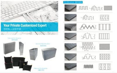 Customized Aluminum Air Cooled Heat Exchanger for oil air water cooling solutions