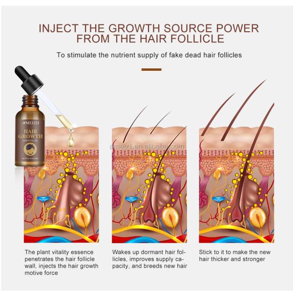 Natural Argan Hair Regrowth Serum Anti Loss With Ginger Essential Oil