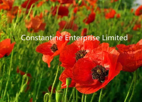 240GSM Double-sided Glossy inkjet photo paper