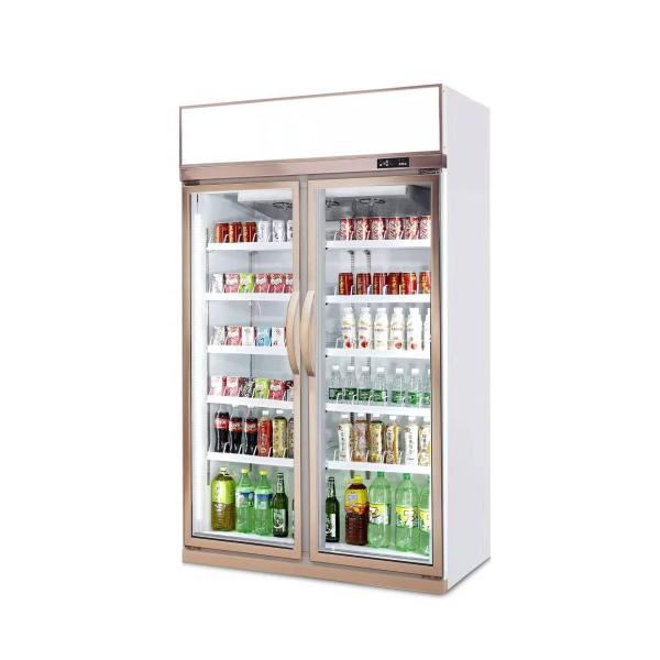 1000L Commercial Beverage Refrigerator Customized Double Glass Door Cooler