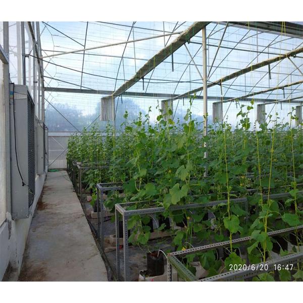 Горяче погруженные оцинкованные стальные трубы для открытой вентиляции и крыши