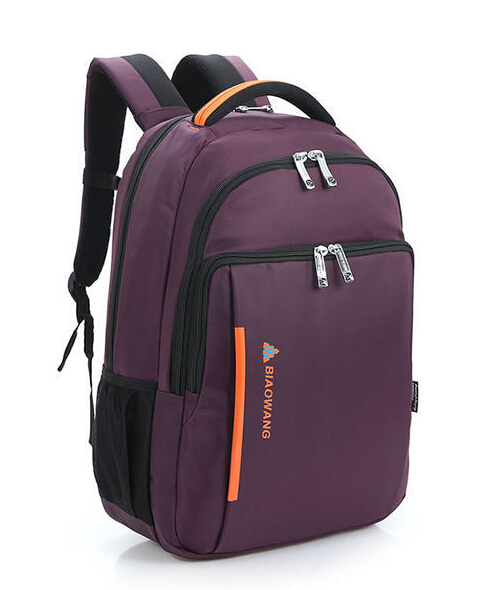 Biaowang travel bag 15 inch laptop for men made in waterproof nylon guangzhou wholesale price