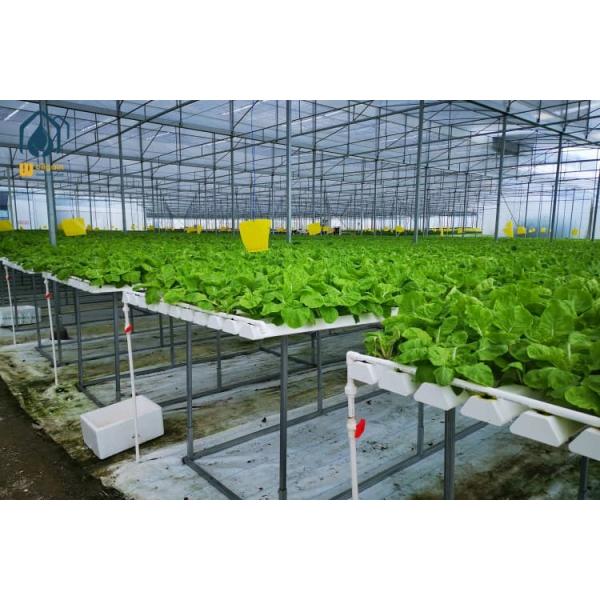 Indoor Vertical Hydroponic Farming System PVC Hydroponic Tube Systems Customized