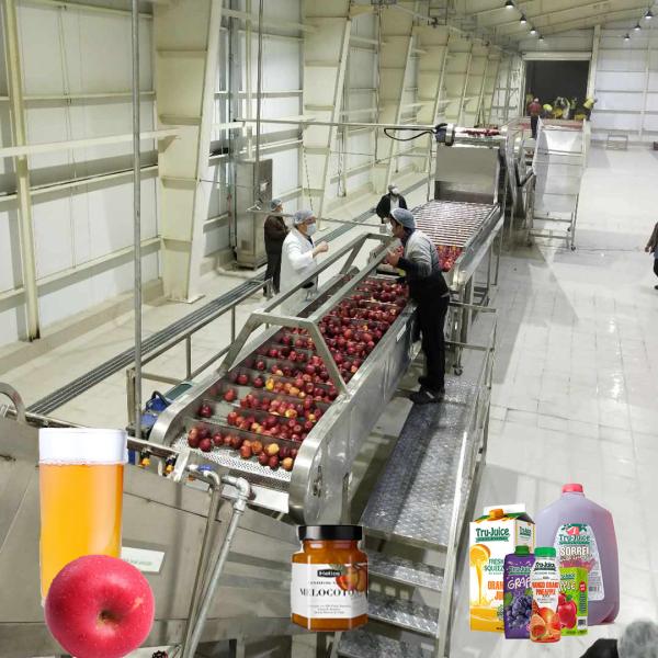 Energy-efficient and high-quality Apple Juice Processing Line