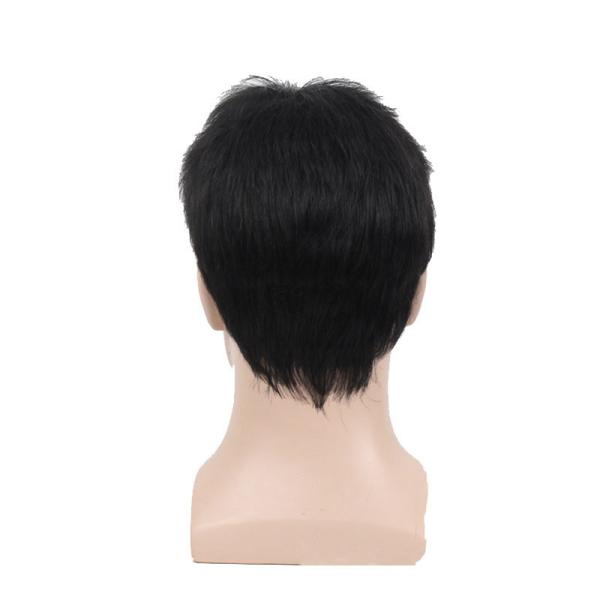 250g-450g Human Hair Wigs for Men 6inch Length Direct from Manufacturers at Best