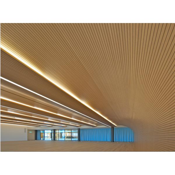 Художественные звукопоглощающие панели из MDF, современный дизайн.