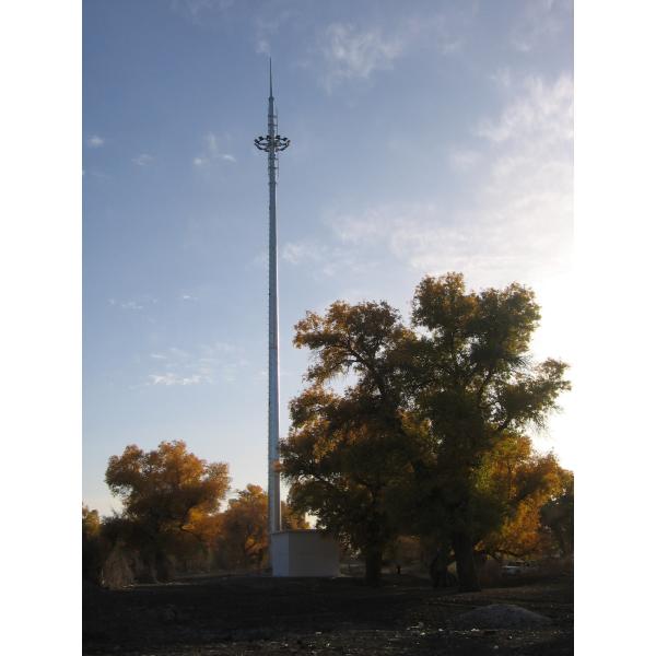 Torres monopolares tubulares de acero poligonales Q355 H30m del teléfono celular del ISO 9001