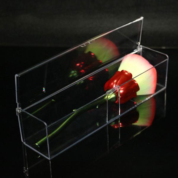 Подгонянный дизайн щетки макияжа цвета одиночным эргономическим поставленный точки микрофоном