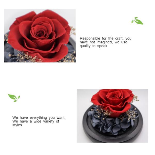 Customized Color Preserved Rose Glass Dome Keep Looking Bright And Beautiful