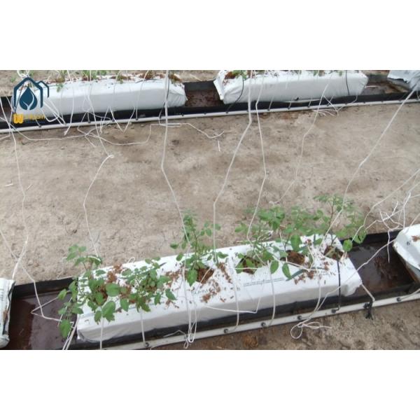 Soilless Greenhouse Growing Troughs PP Folded Cultivation Gutter Black White