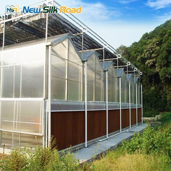 commercial low cost agricultural greenhouse sale hot house greenhouse polycarbonate sheet greenhouse for agro