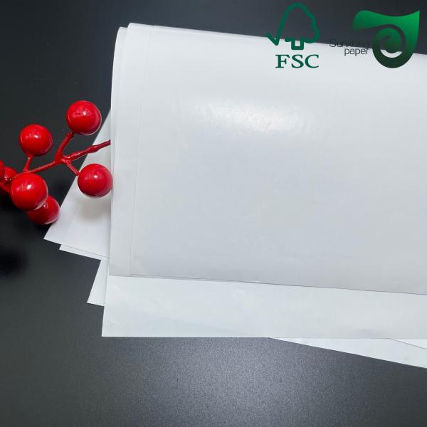FSC 150gsm 170gsm Glossy Coated Paper Art Book With Good Printing