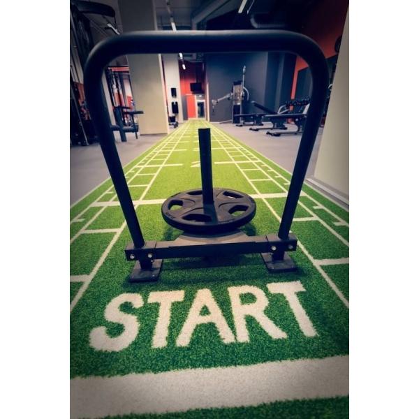 CE ISO9001 ISO14001 Certified Dorelom Training Athletic Turf Mat for Fitness Flooring