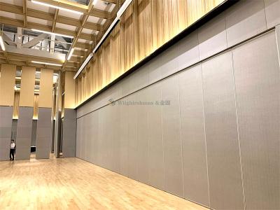 Customizable Commercial Partition Wall Modern Durable Fire Resistant