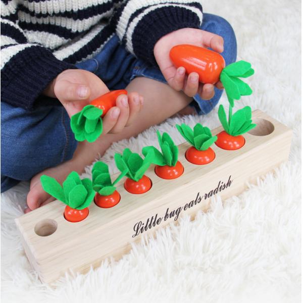Baby Carrot Harvest Wooden Montessori Toys Matching Game