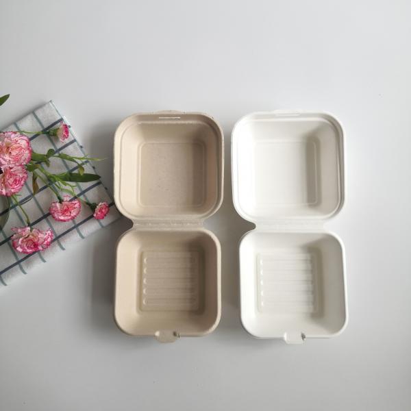 5 Inch 6 Inch Biodegradable Sugarcane Disposable Burger Box