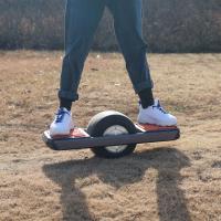Coisa do skate do GV 7Ah 1000W com a uma roda com luzes da faísca