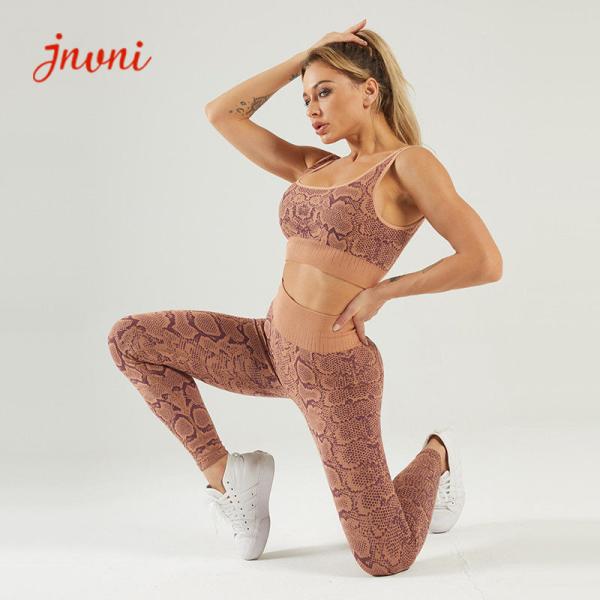 Equipamento alto da ioga da cópia da serpente da cintura para o desgaste sem emenda do Gym do exercício de 2 partes das mulheres