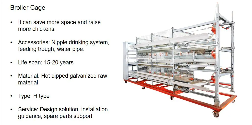 Galvanized Steel Automatic Poultry Farm Equipment Chicken Battery Cage H Type